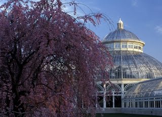 New York Botanical garden