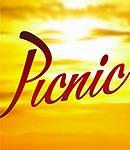 Picnic Broadway Show