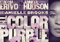 the color purple logo