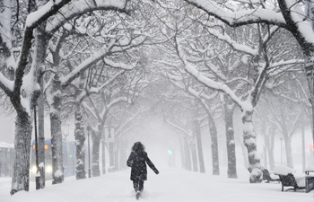 snow storm in the streets of NYC