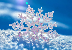 blue and white photo of snowflake