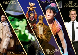 Aladdin, Hamilton, The Book of Mormon, Wicked and The Lion King